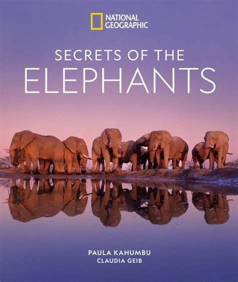 The Magic Elephant Book: Where Reality Meets Imagination